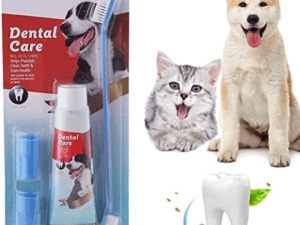 Crema Dental Con Sabor A Carne + 3 Kit Cepillos